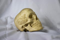 Wood carving Human Skull Replica, Wooden skull figurine, Halloween and Gothic Decor, Punk rocker gift